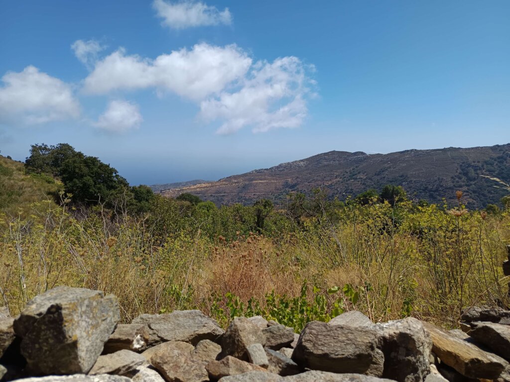 Komiaki_naxos_ vue