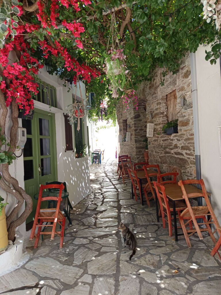 Komiaki_naxos_terrasse sous bougainvillier
