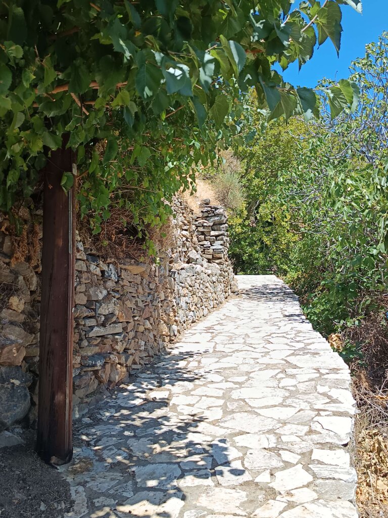 Komiaki_naxos_chemin vers tombe mycénienne