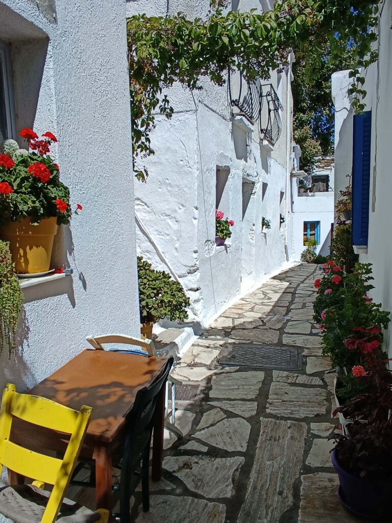 Komiaki_naxos_ruelle avec fleurs