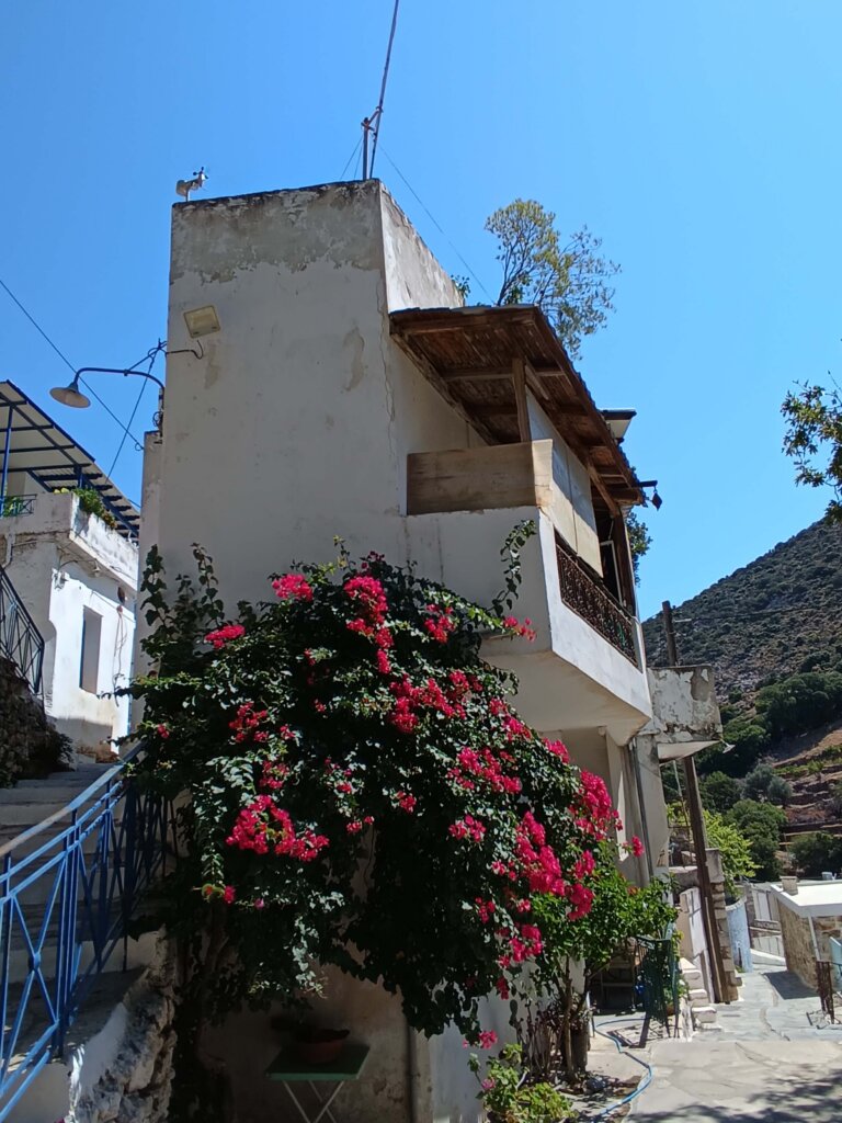 Rue Danakos, Naxos 6